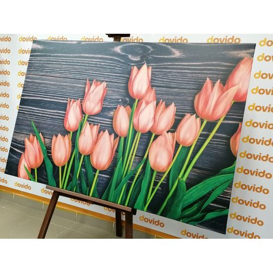 Obraz oranžové tulipány v jarnej záhrade