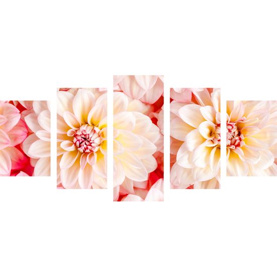 5-dielny obraz jemné rozkvitnuté dálie