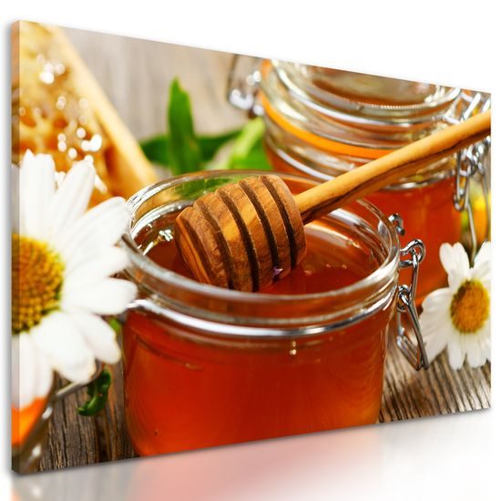 Obraz lesný med