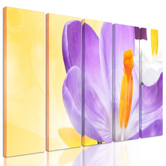 5-dielny obraz nežný šafrán