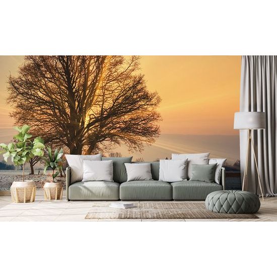 Krásna samolepiaca fototapeta kone pri východe slnka