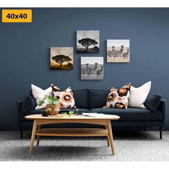 Set obrazov divoká savana