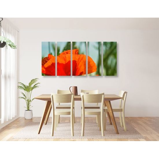 5-dielny obraz nádherný mak
