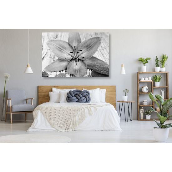 Obraz ružový kvet na drevenom podklade v čiernobielom prevedení