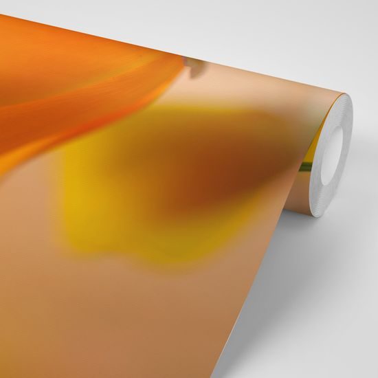 Samolepiaca fototapeta pôvabná žltá kvetina