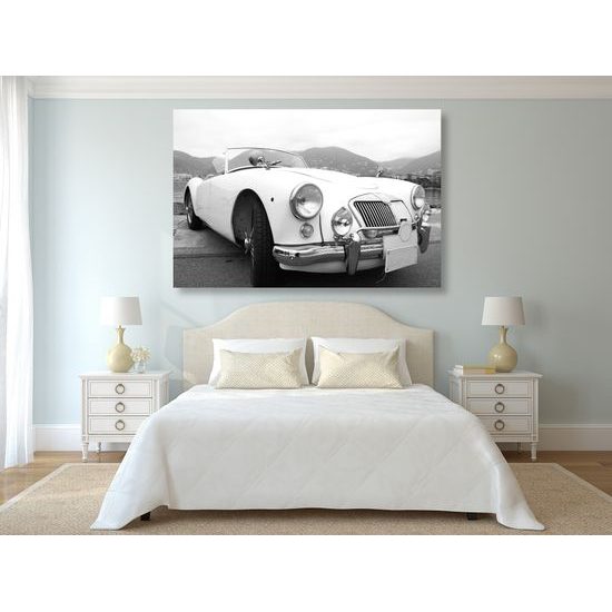 Obraz klasický veterán v čiernobielom prevedení