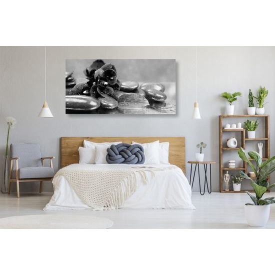 Obraz ukľudnujúca orchidea v čiernobielom prevedení