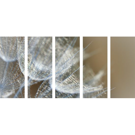 5-dielny obraz detail púpavy v umeleckom prevedení