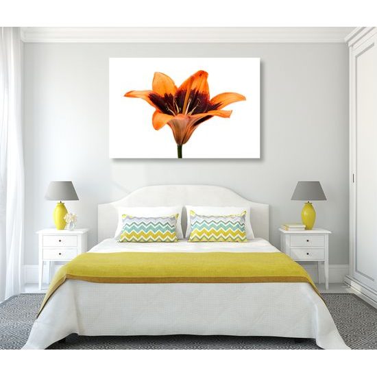 Obraz nevšedná ľalia