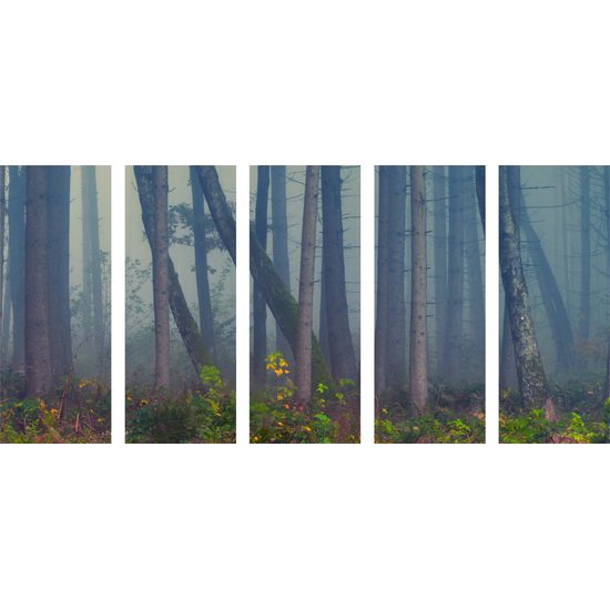 5-dielny obraz les zaliaty hmlou v čiernobielom prevedení
