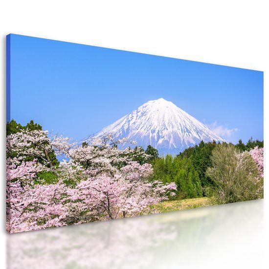 Obraz nádherná Japonská sopka Fuji