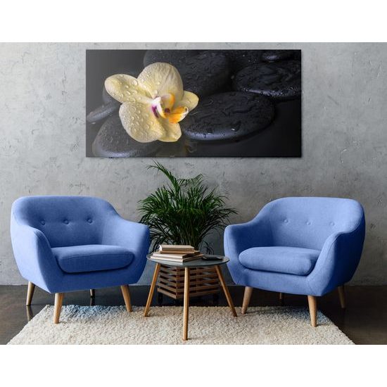 Obraz lávové kamene a zaujímavá orchidea