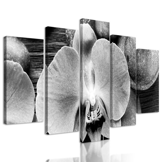 5-dielny obraz orchidea a Zen kamene na drevenom pozadí v čiernobielom prevedení