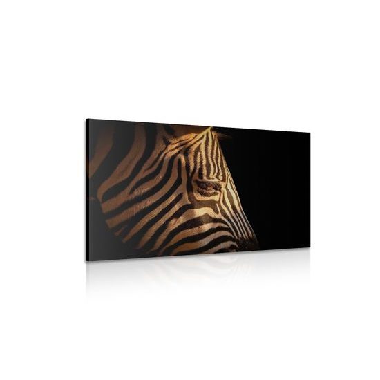 Obraz detail zebrej hlavy