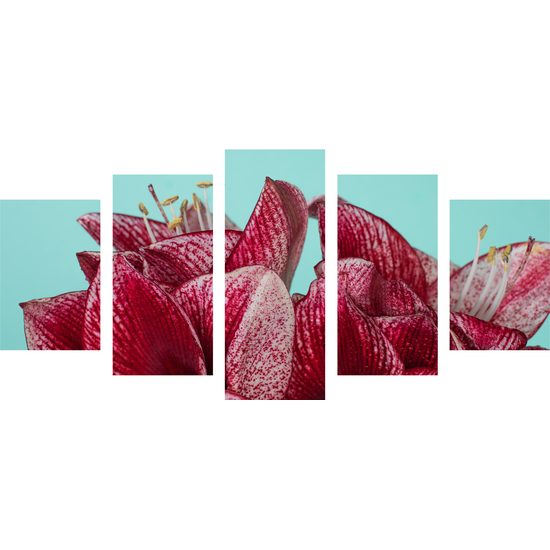5-dielny obraz jedinečné kvety na tyrkysovom pozadí