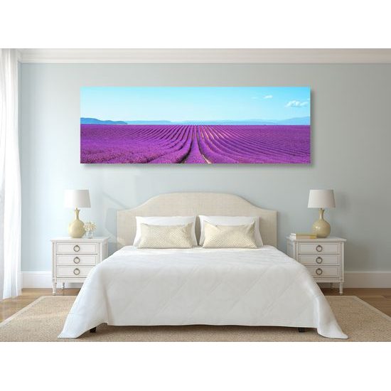 Obraz nádherné levaduľové polia