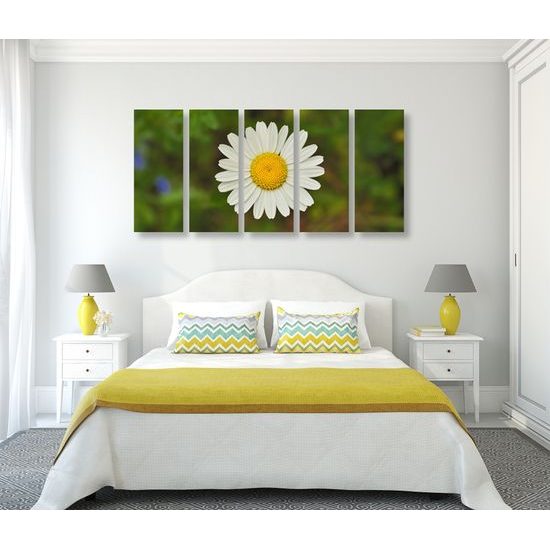5-dielny obraz krásny lúčny kvet