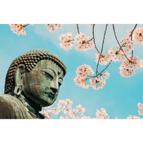 Obraz Budha pod holým nebom