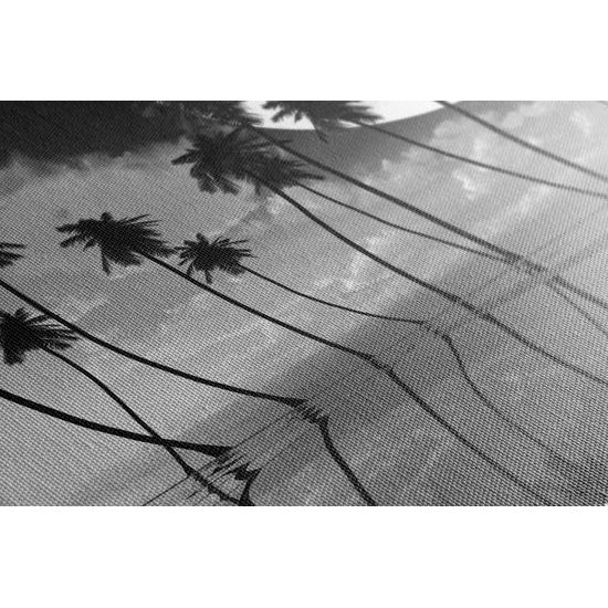 Obraz západ slnka v čiernobielom prevedení