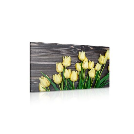 Obraz tulipány v jarnej záhrade
