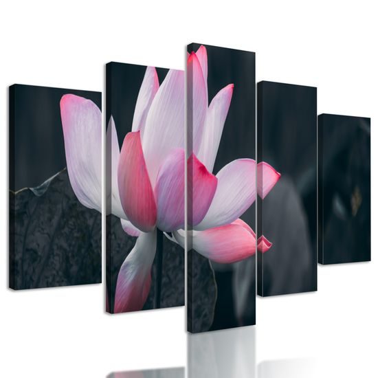 5-dielny obraz nádherny kvet