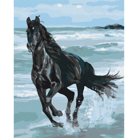 Maľovanie podľa čísiel čierny cválajúci kôň