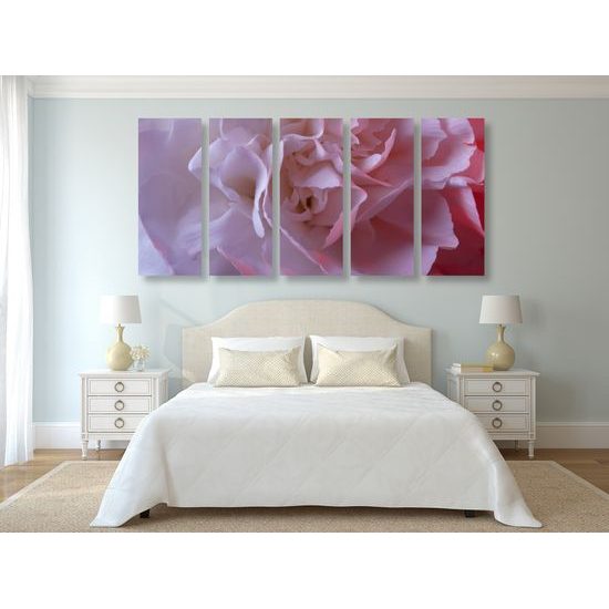 5-dielny obraz detail na kvet karafiátu