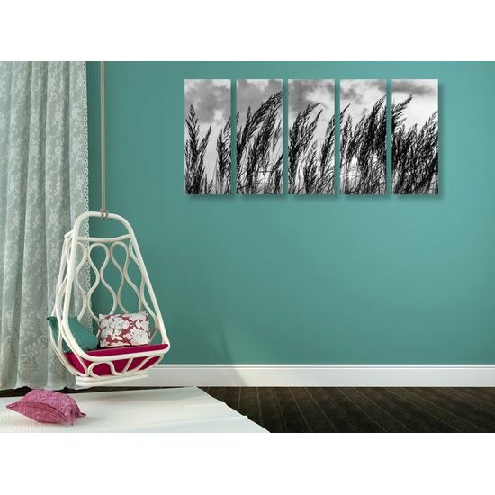 5-dielny obraz poľná tráva s nebeským pozadím v čiernobielom prevedení