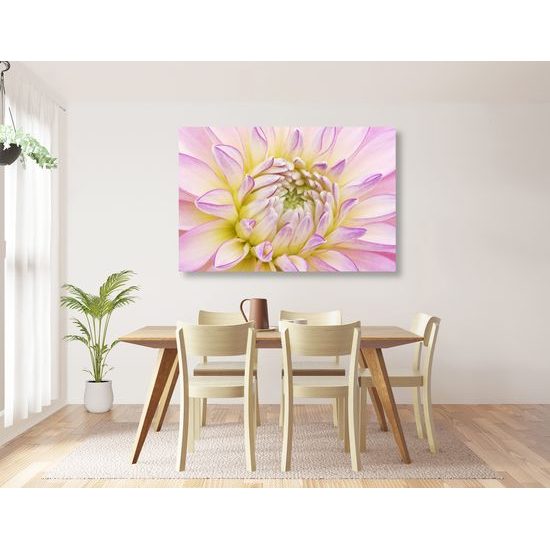 Obraz perfektný detail na kvet dálie