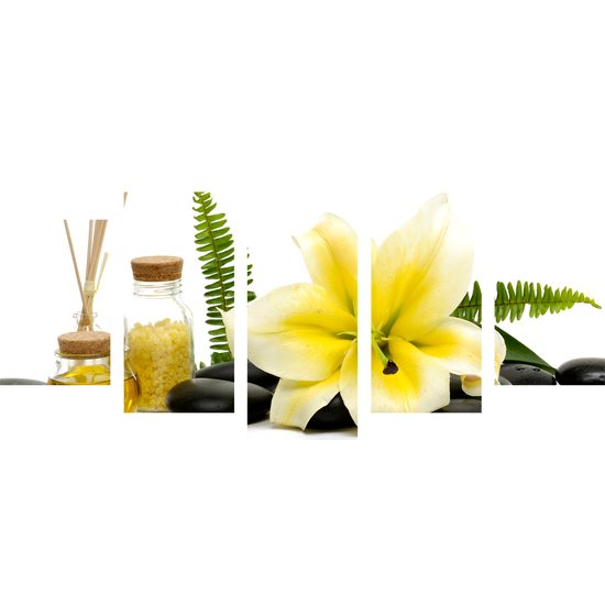 5-dielny obraz relaxačné zátišie