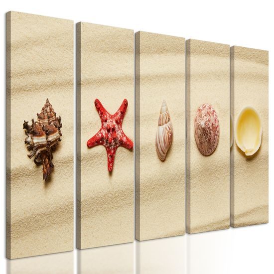5-dielny obraz zátišie z mušlí na pláži
