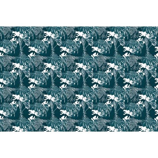 Tapeta exotické listy monstery