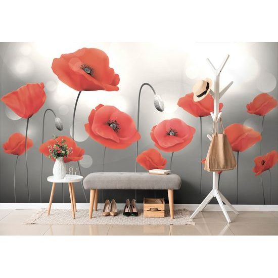 Tapeta červéné maky v rozkvete