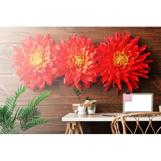 Samolepiaca fototapeta kvety dálie na drevenom pozadí