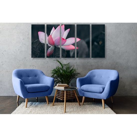 5-dielny obraz nádherny kvet