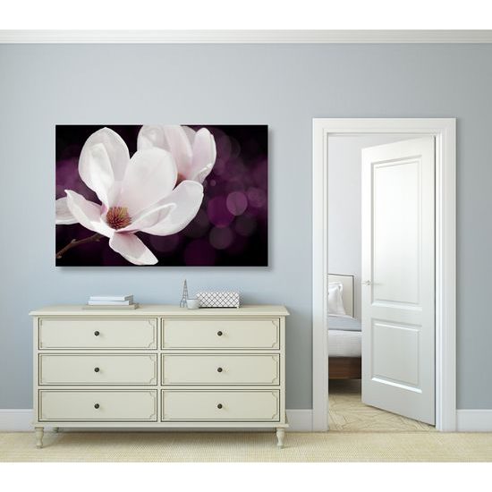 Obraz magnólia v rozkvete