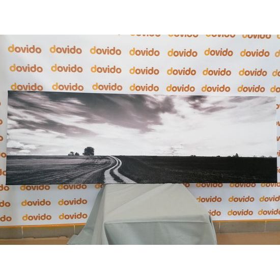 Obraz nádherná krajina v čiernobielom prevedení