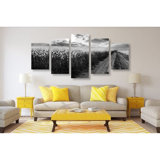 5-dielny obraz nádherná cestička v strede poľa v čiernobielom prevedení