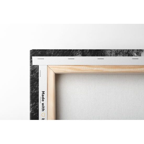 Obraz krásy jesennej prírody v čiernobielom prevedení