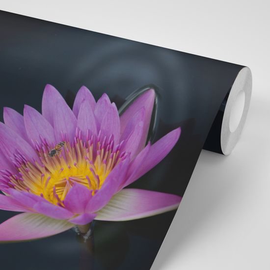 Samolepiaca fototapeta tvár božského Budhu