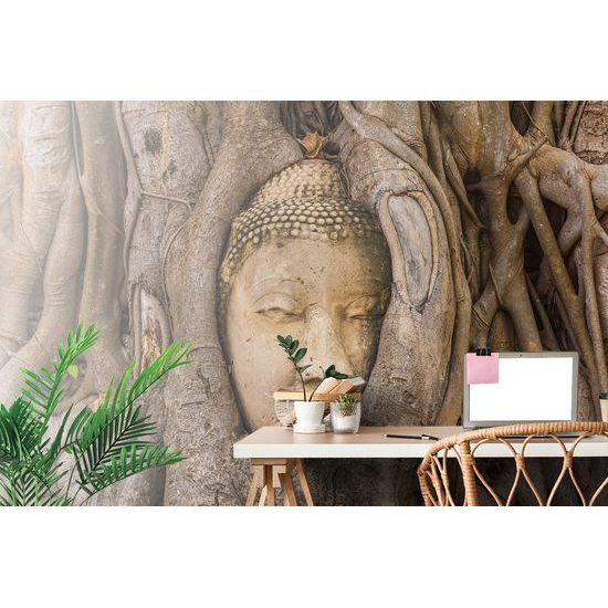 Samolepiaca fototapeta Budha v koreňoch figovníka