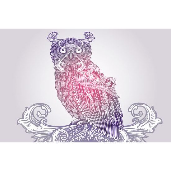 Tapeta zaujímavá sova v ružových tónoch