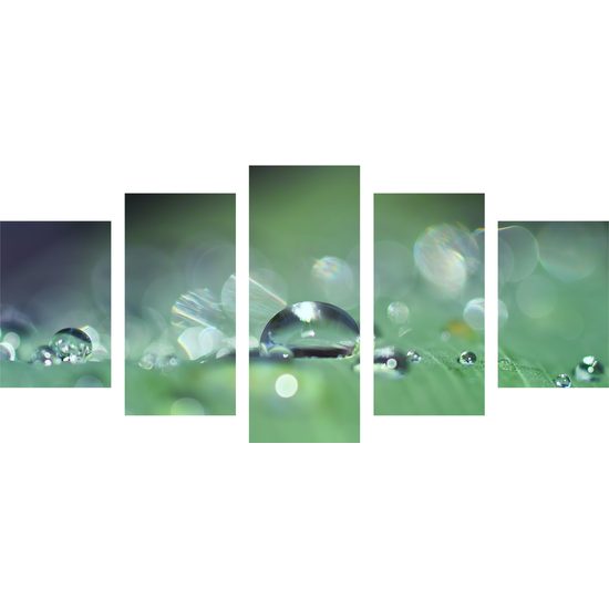 5-dielny obraz detail zameraný na kvapku rosy