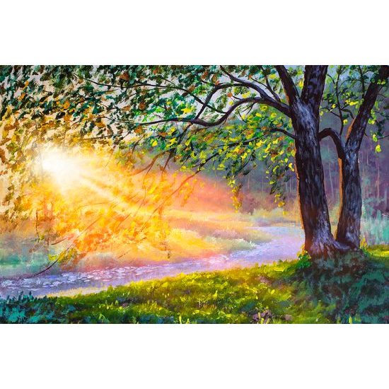 Samolepiaca tapeta prebúdzajúci sa ranný les