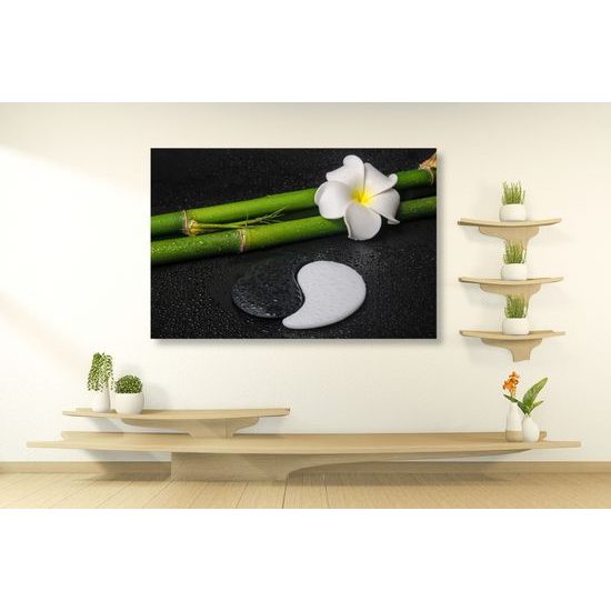 Obraz nádherné bambusové zátišie so symbolom Jin a Jang