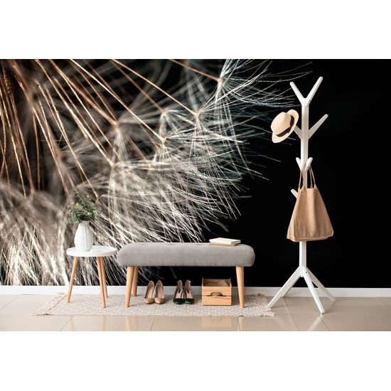 Tapeta detail semienok púpavy