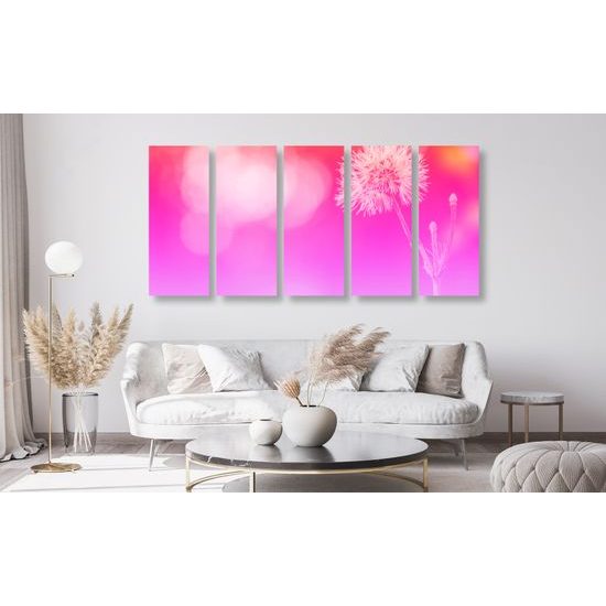 5-dielny obraz púpava v ružovo bielych farbách