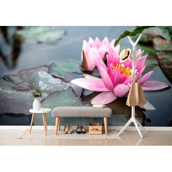 Samolepiaca fototapeta mystický lotosový kvet