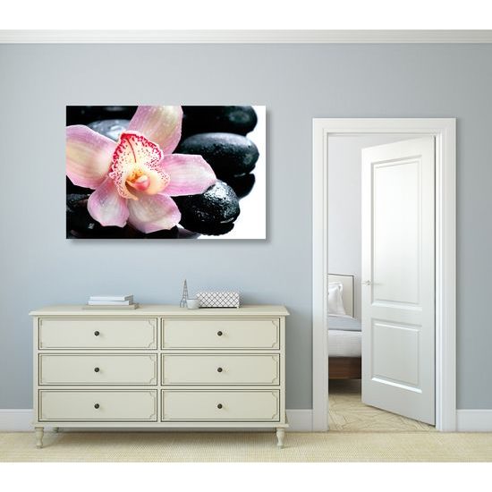 Obraz ružový kvet orchidei
