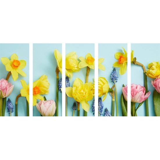 5-dielny obraz rozmanitosť jarných kvetov